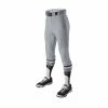 Evoshield Salute Men’s Knicker Baseball Pants – Grey -Baseball Uniforms Sales Store products wb6000502 1